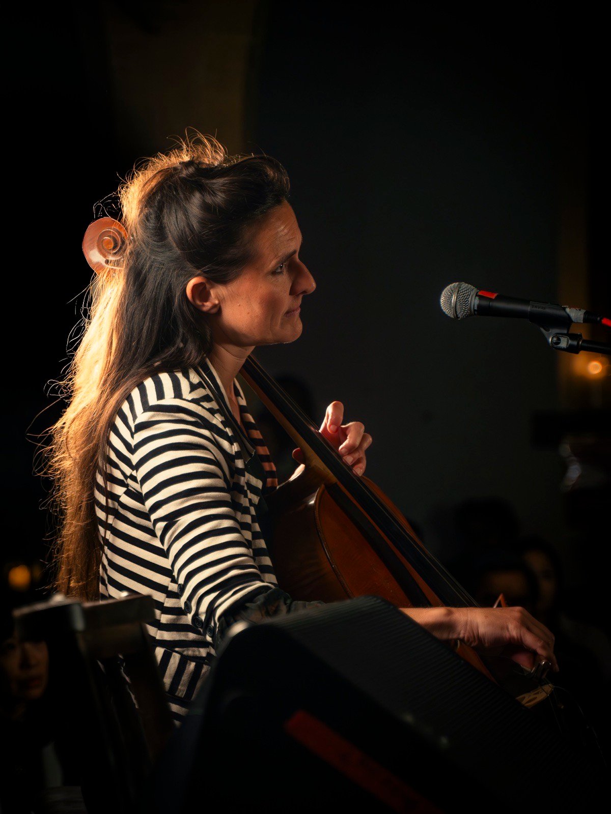 The cellist in profile