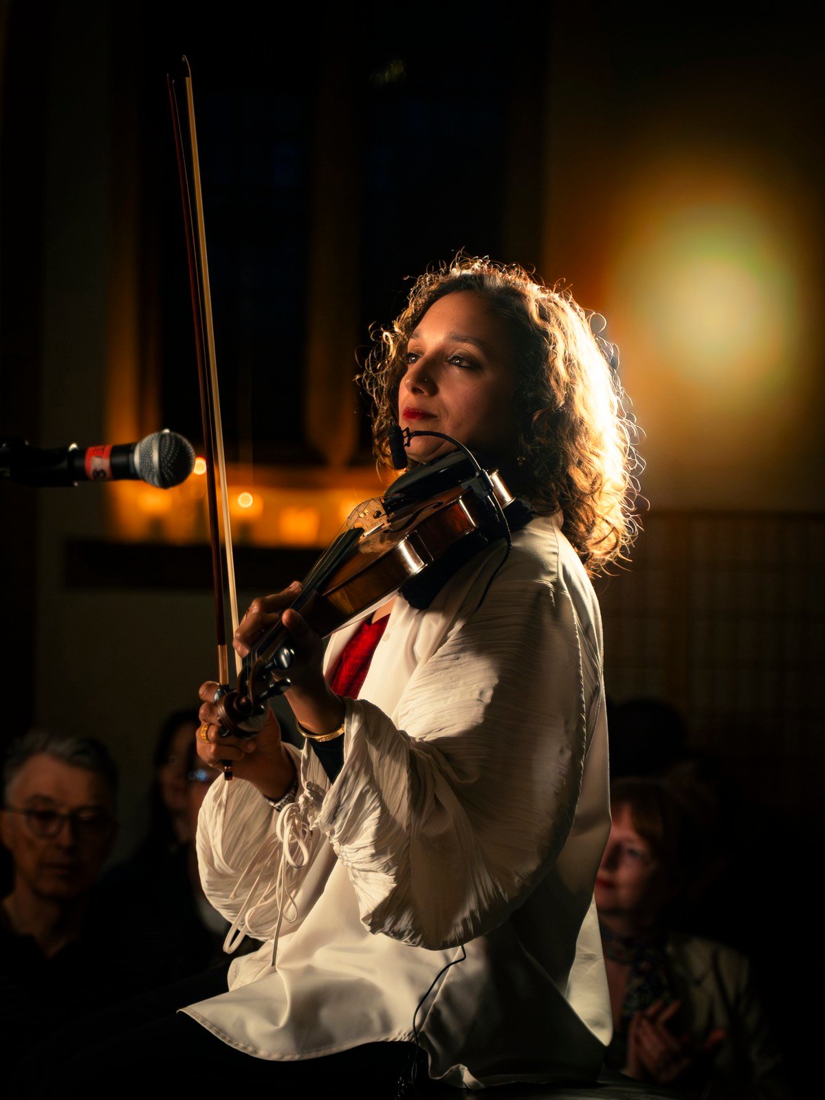 The violinist under a warm stage light