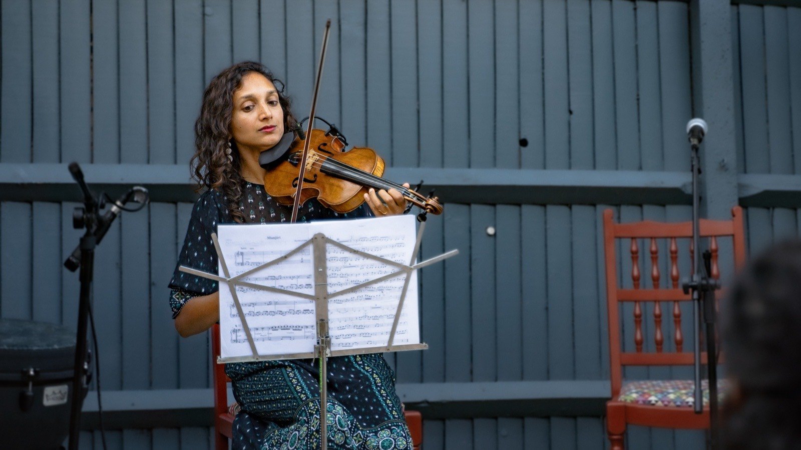 The violin at the music stand