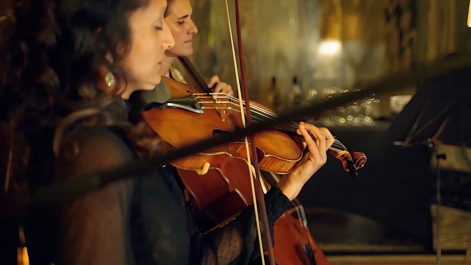 The violin