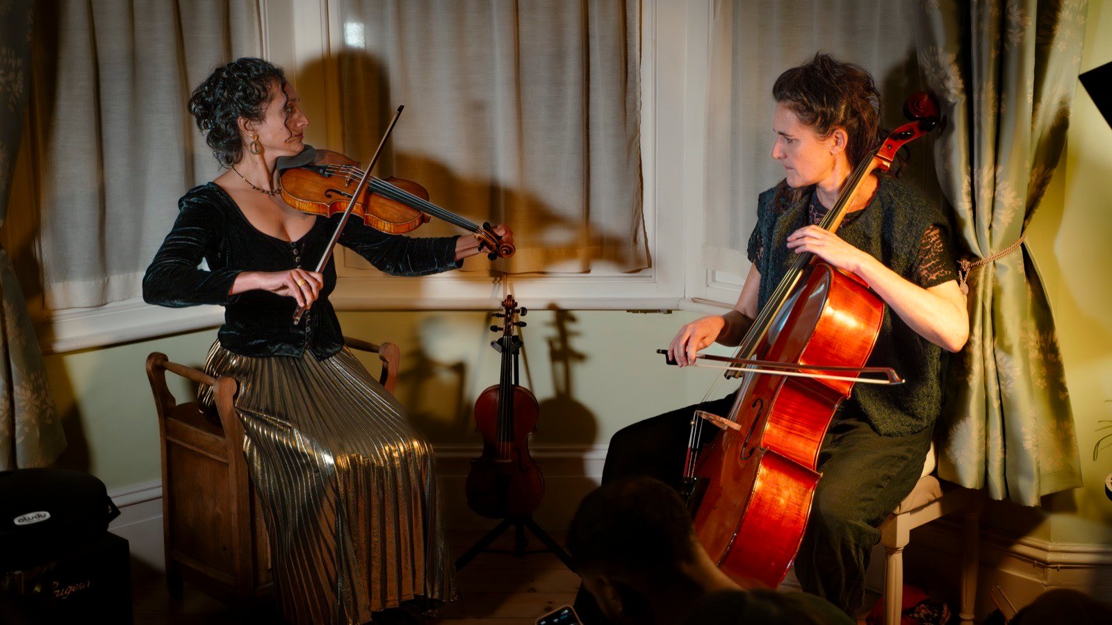 Violin and cello