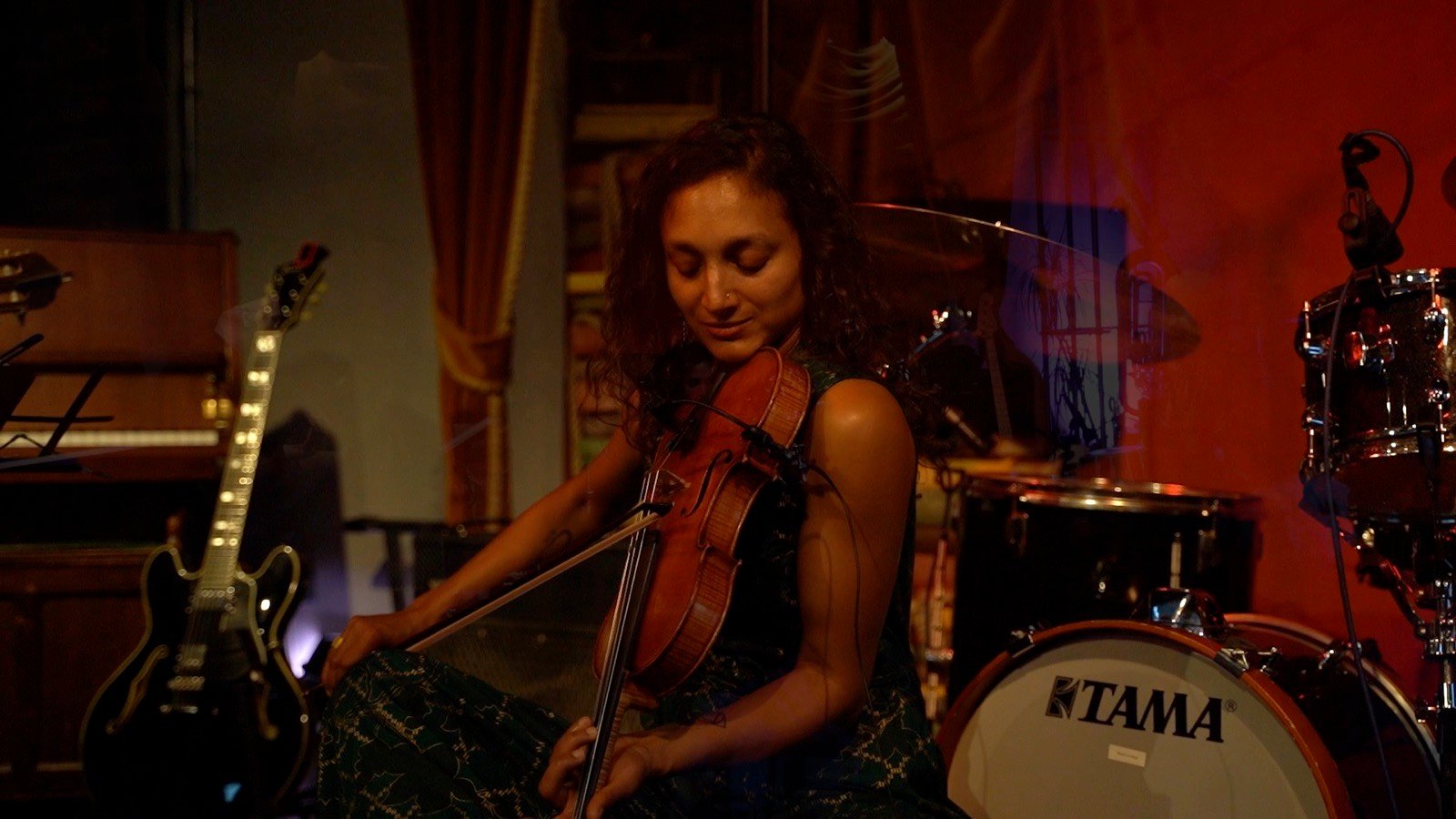 The violin, close up