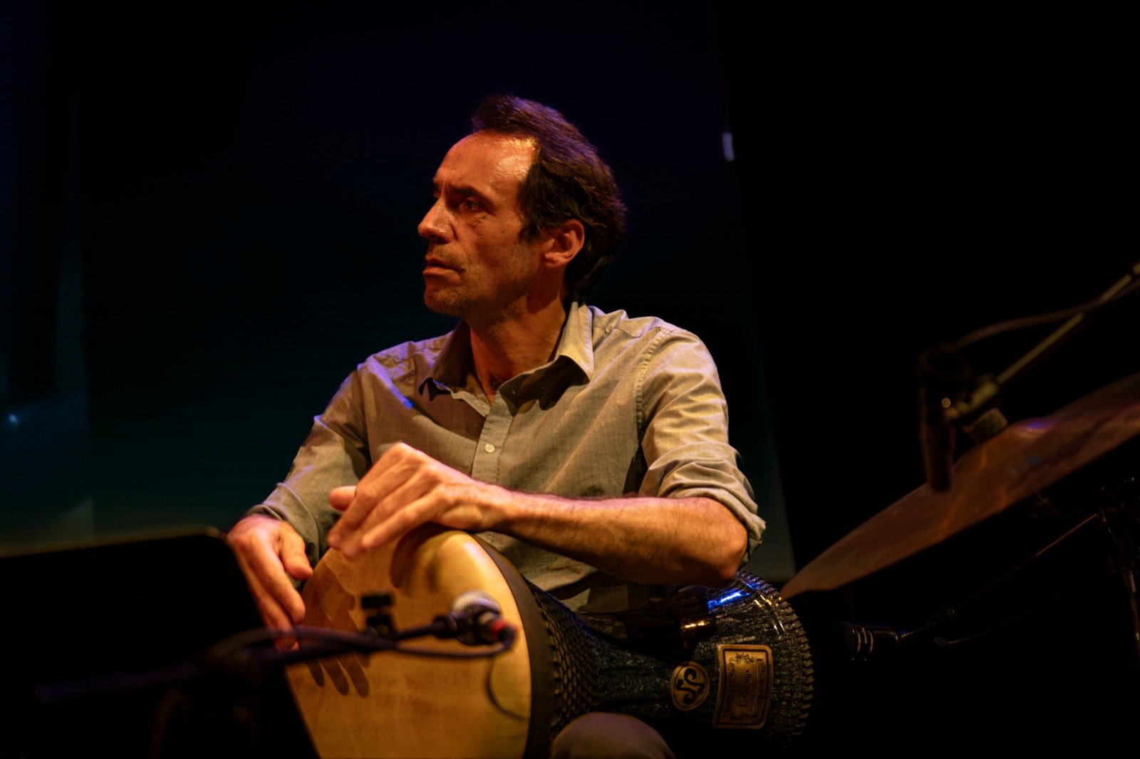 The percussionist