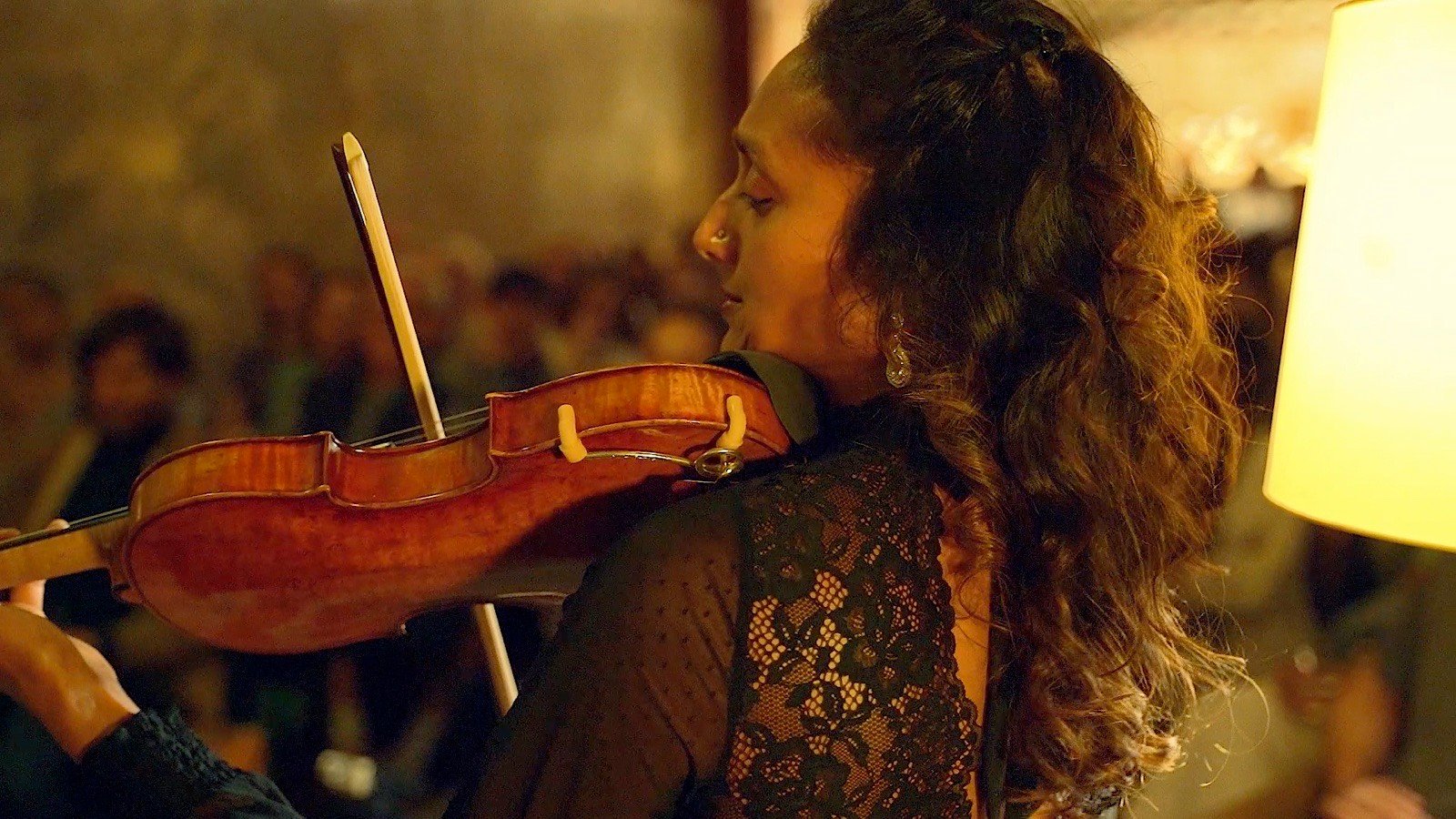 The violin, close up