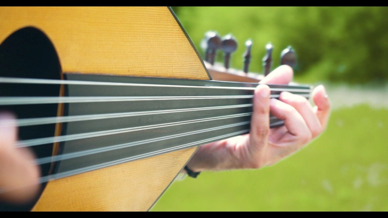 The oud’s neck, close
