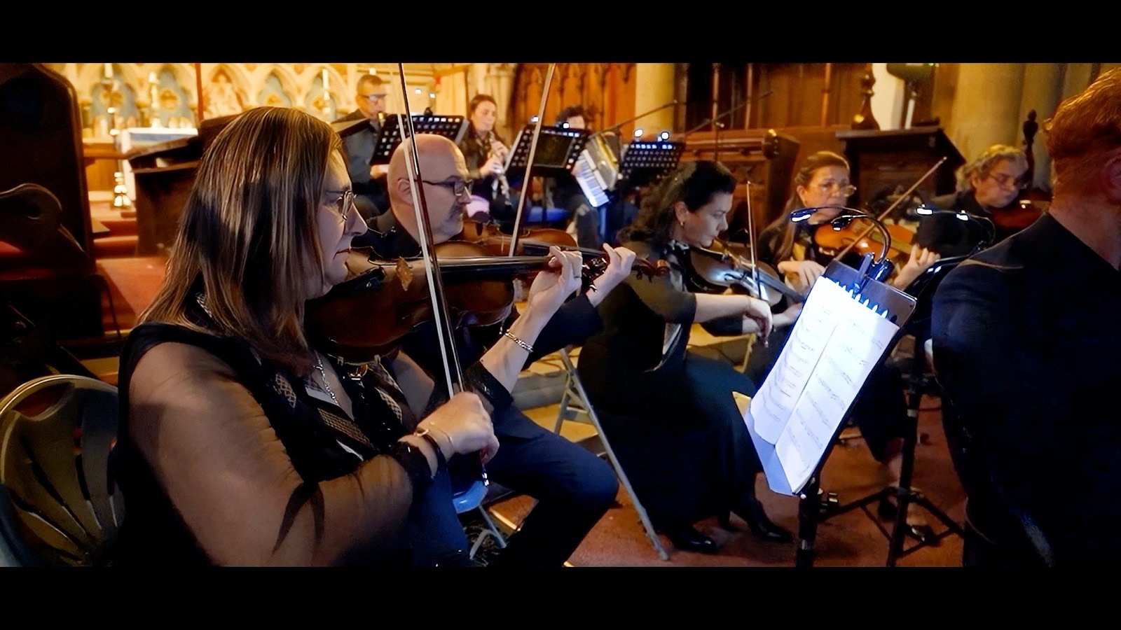 Violins
