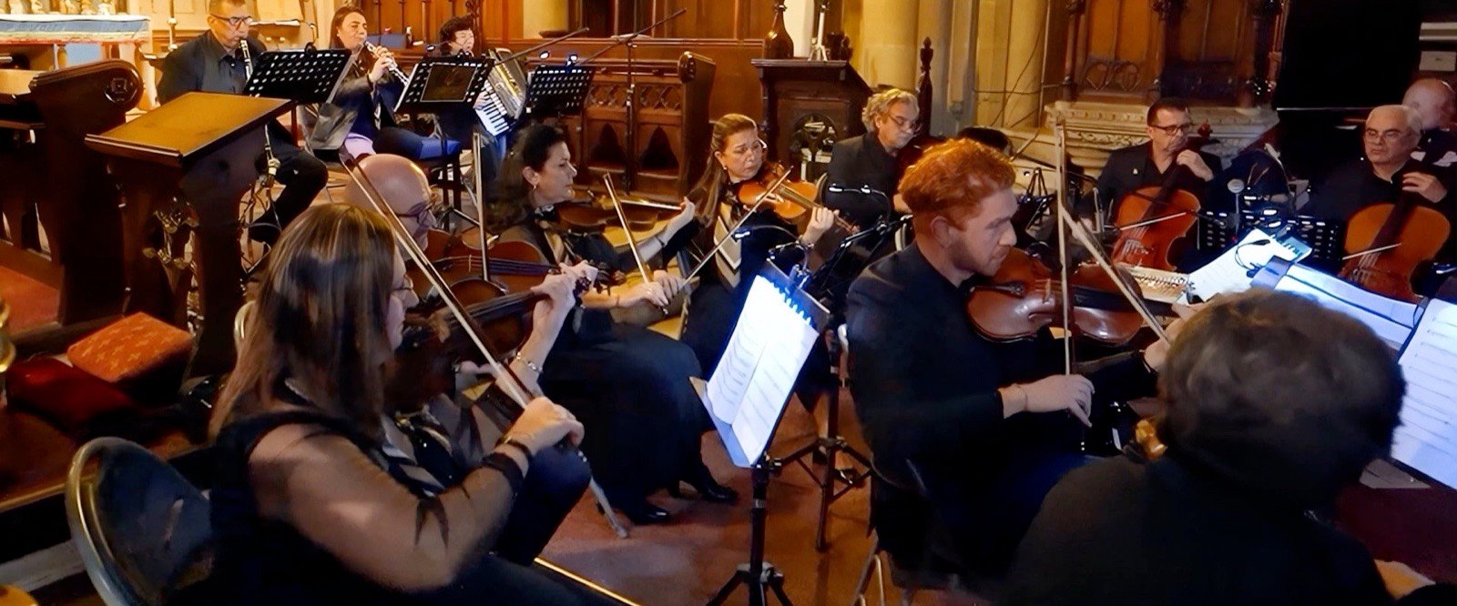 The violins