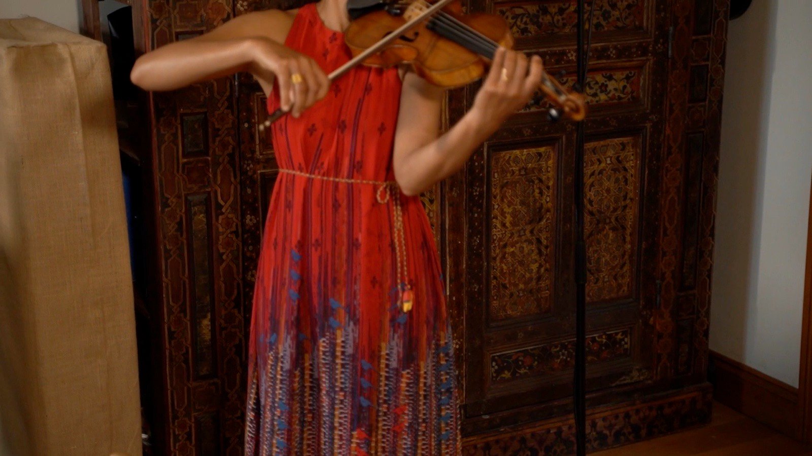 The violinist