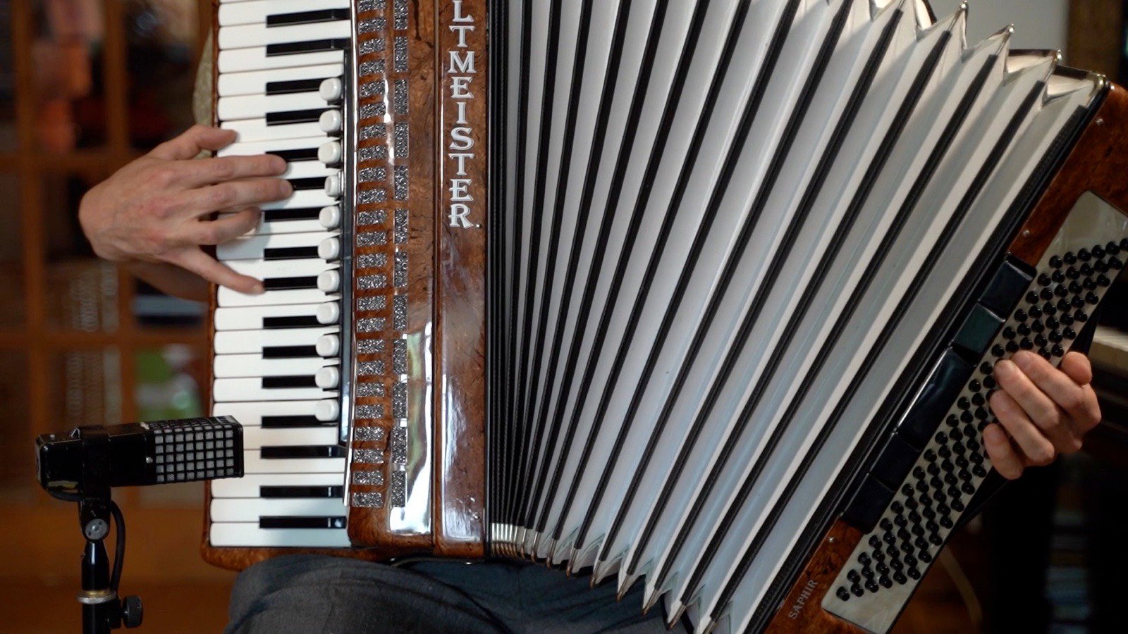 The accordion, close up